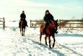 Rückkehr von einem herrlichen Winterritt im Schnee